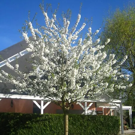 La Pyramide Oberhaslach