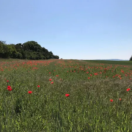 La Pyramide * Oberhaslach