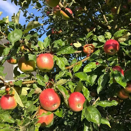 Résidence La Pyramide *